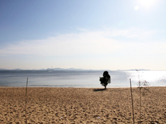 早朝、浜に立てられたオタナギサマ